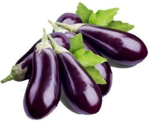 Brinjal