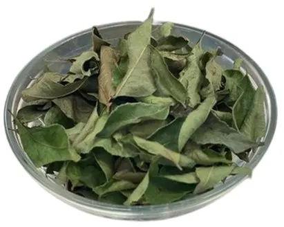 Dehydrated Curry Leaves Flakes