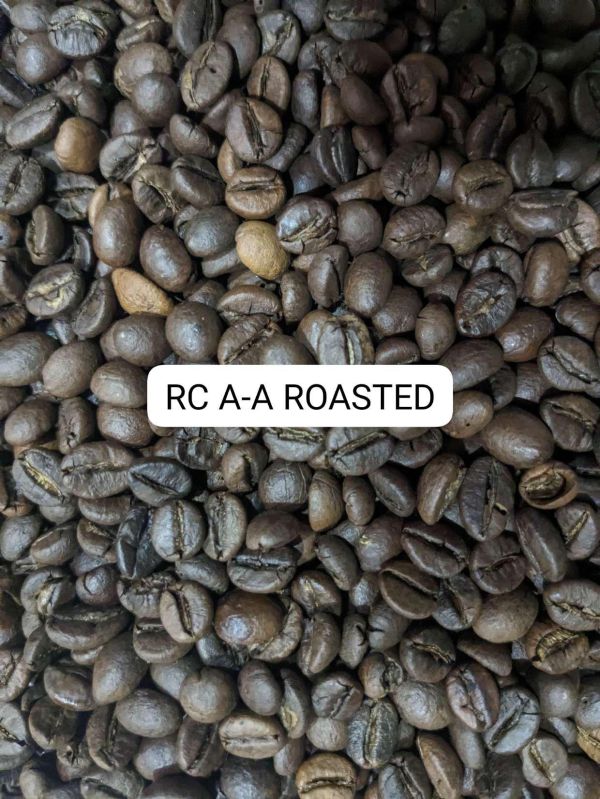 RC AA Robusta Roasted Coffee Beans