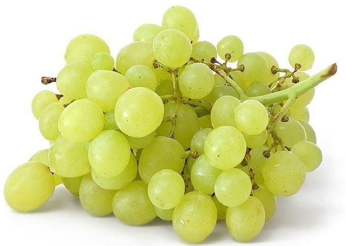 Fresh Grapes