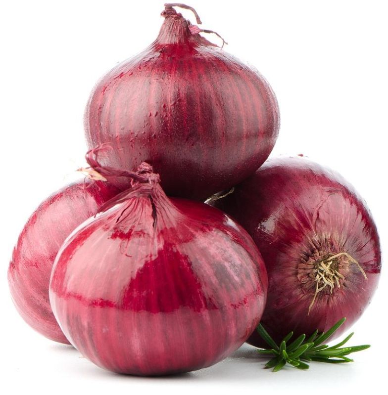 fresh onion