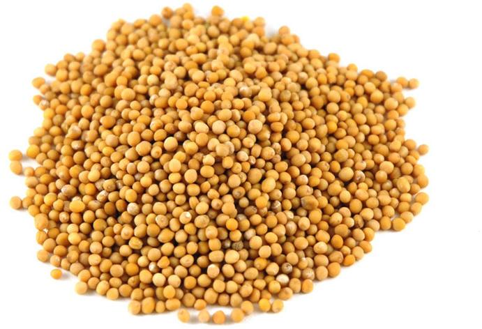 Yellow Mustard Seeds