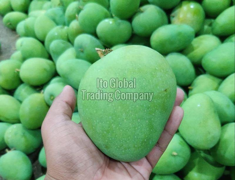 Badami Mangoes