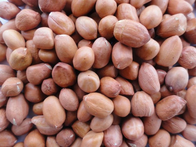 Groundnut Kernels