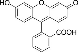 Diacetyl Fluorescein