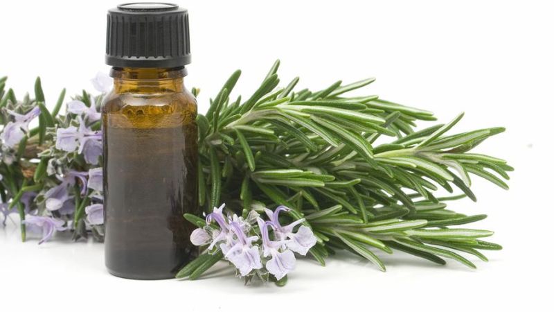 Rosemary Essential Oil