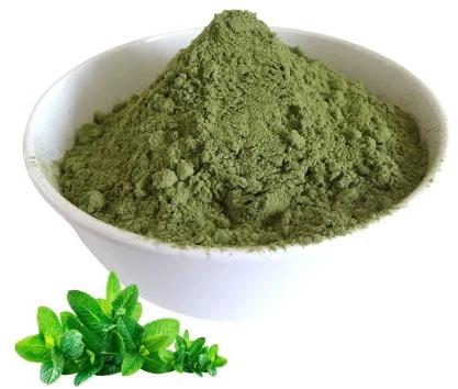 Dehydrated Mint Powder