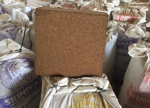 Square Coir Pith Block