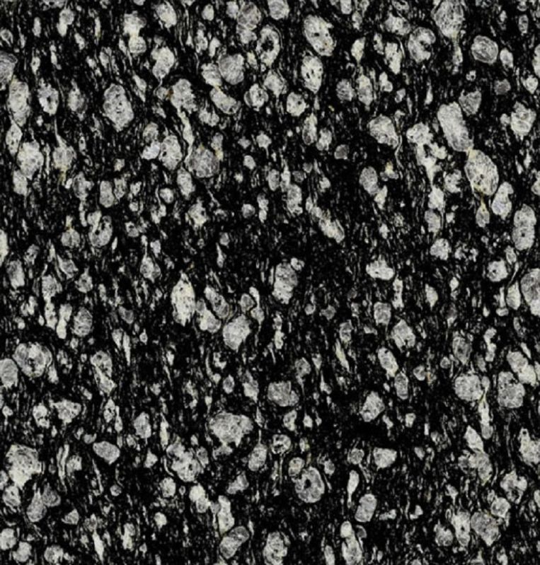 Coral Black Granite Slab