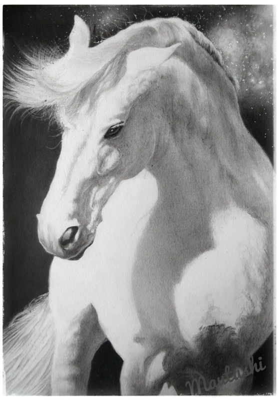 horse painting