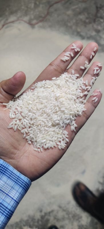 Sortex raw Broken rice