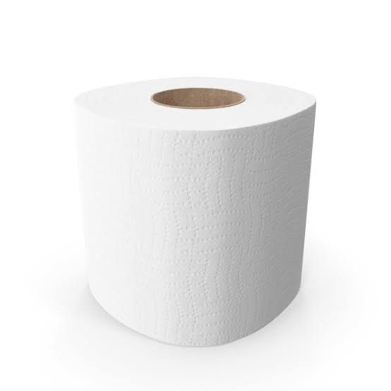 toilet-tissue-paper-roll-manufacturer-supplier-from-yamunanagar