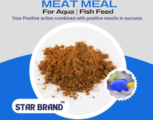 Aqua Fish Feed Meat Meal