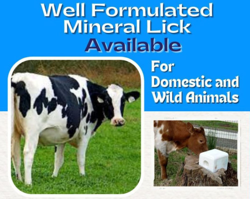 Well Formulated Mineral Salt Lick Block