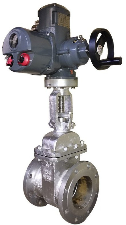 Motorized Gate Valve