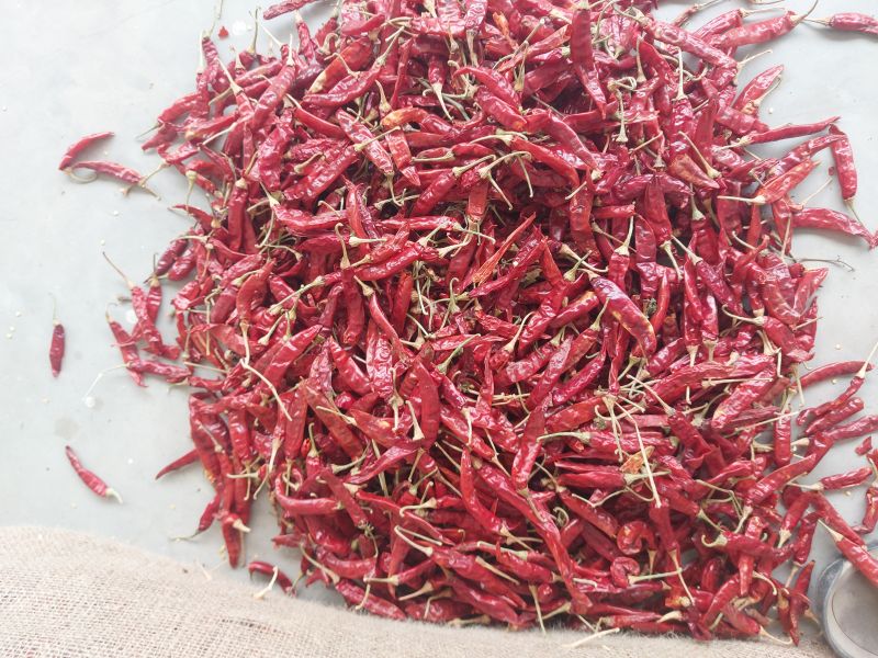 Dried Red Chili 344 ipm &non ipm avalabe