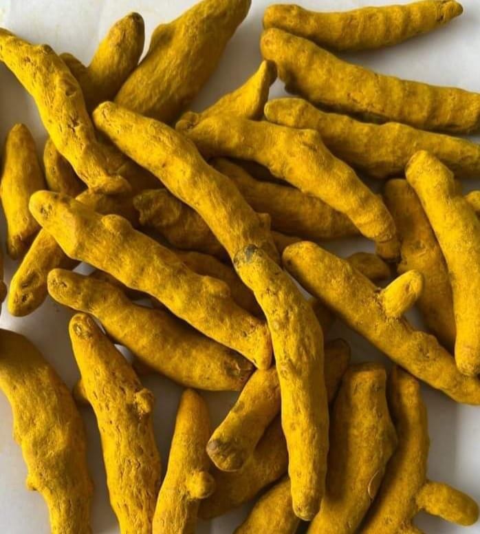 Turmeric Finger