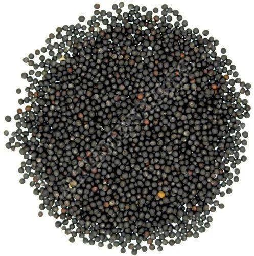 Black Mustard Seeds