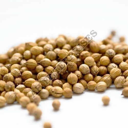 Coriander Seed