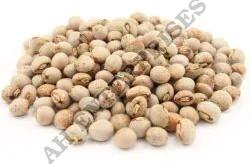 Pigeon Peas