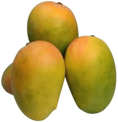 Fresh Kesar Mango