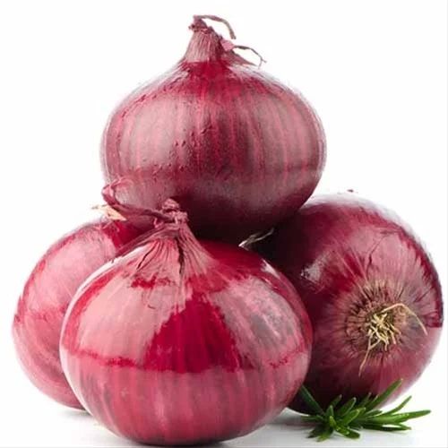 Fresh Onion