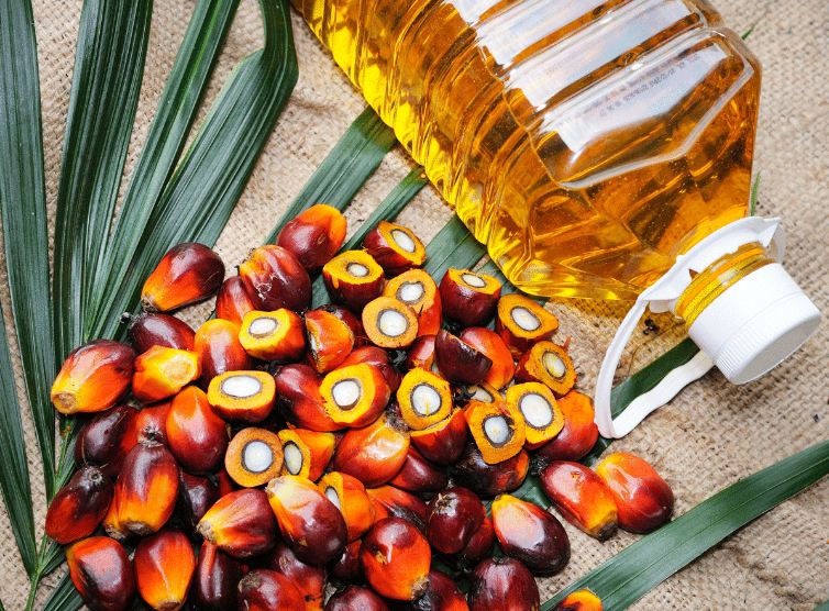 Crude Palm Oil