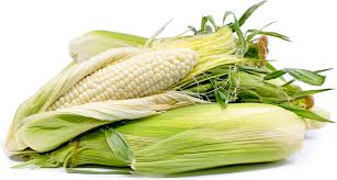 Fresh White Corn