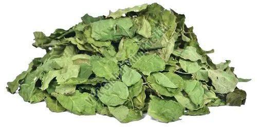 Dehydrated Moringa Leaves