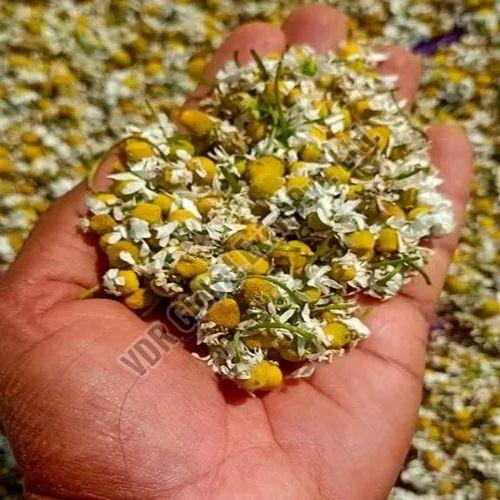 Dried Chamomile Flowers