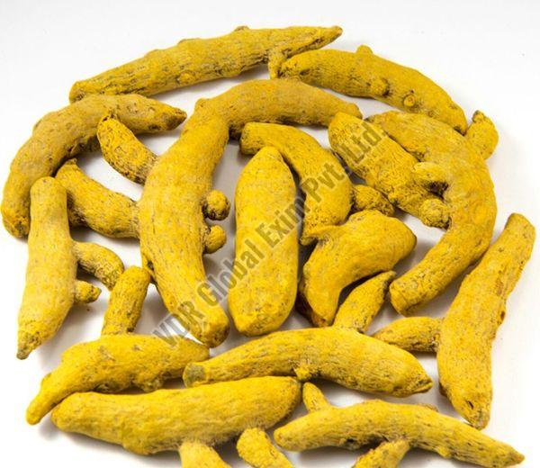 Erode Turmeric Finger