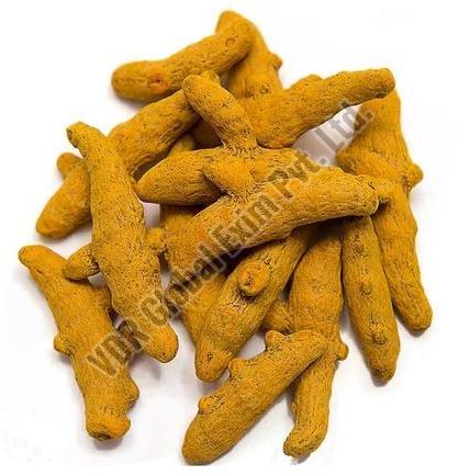 Lakadong Turmeric Finger