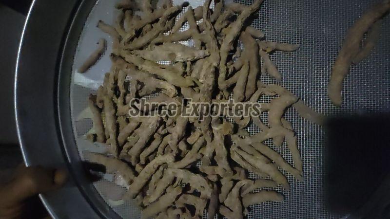 Rajapuri Turmeric Finger