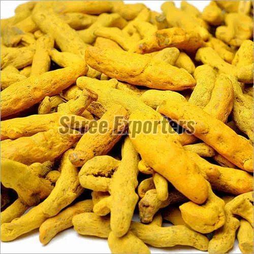 Sangli Turmeric Finger