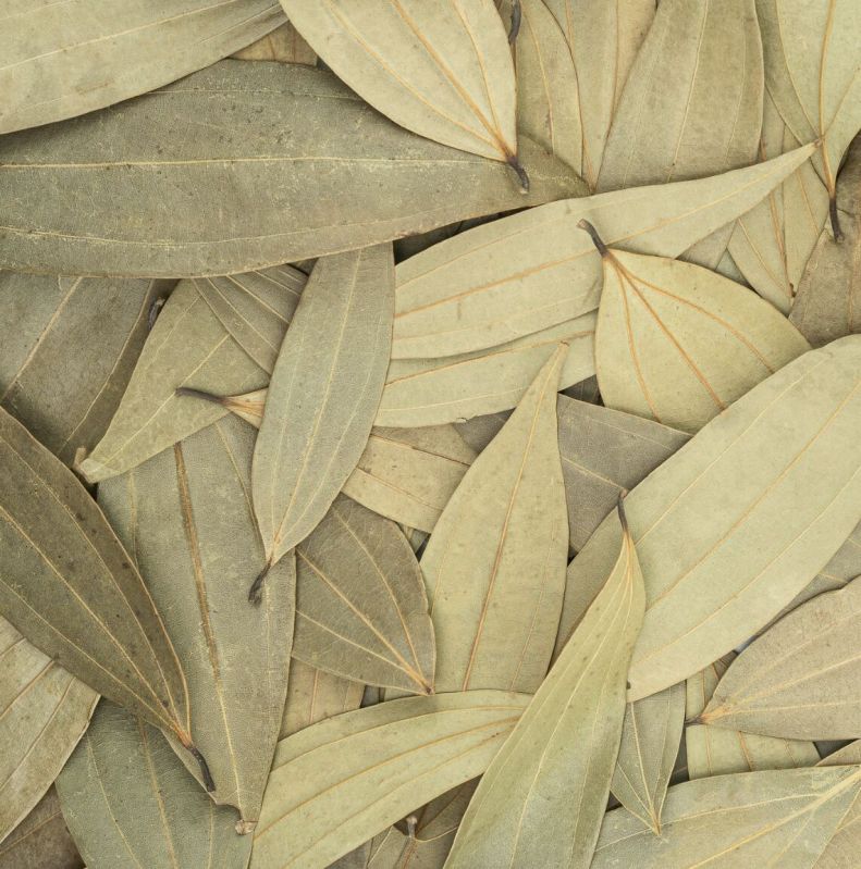 Bay Leaves From Meghalaya