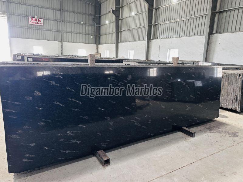 Fish Black Granite Slab