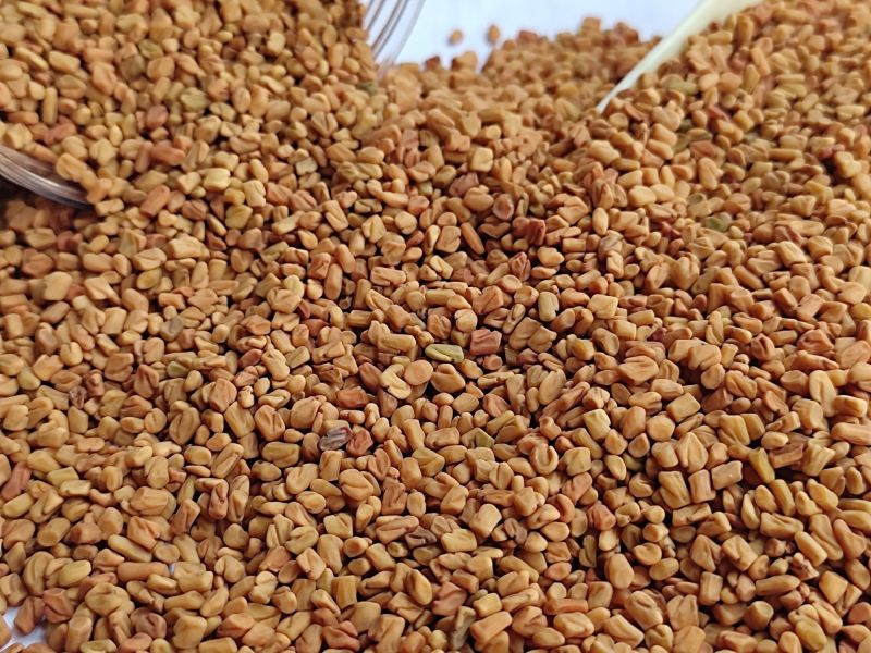 Brown Fenugreek Seeds