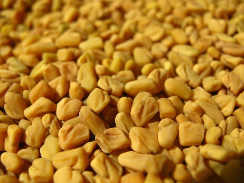 Raw Fenugreek Seeds