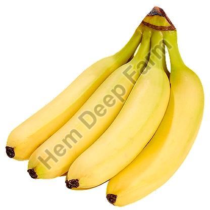 Yellow Banana