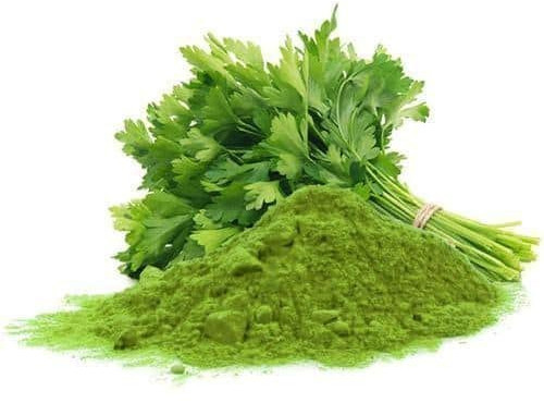 Spray Dried Green Coriander Powder