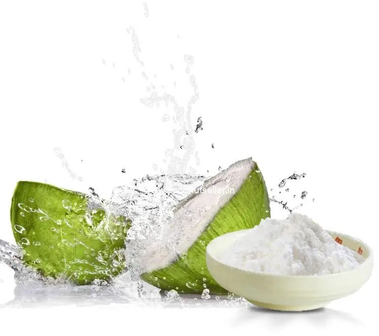 Spray Dried Tender Coconut Powder