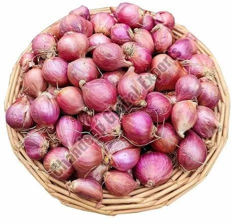 Shallot Onions