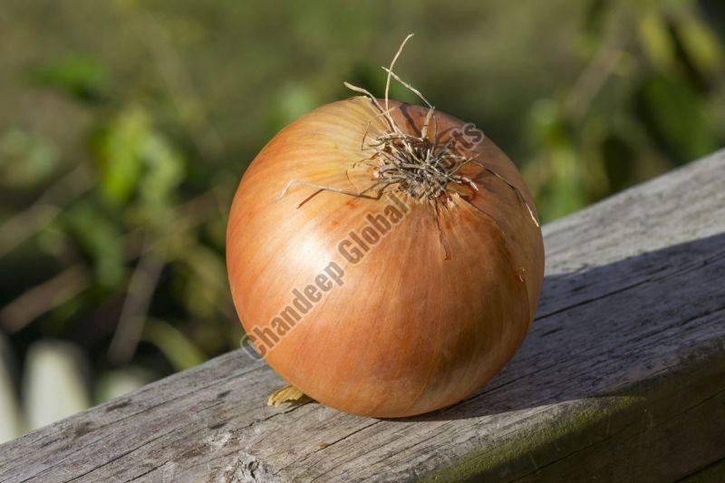 Sweet Onions