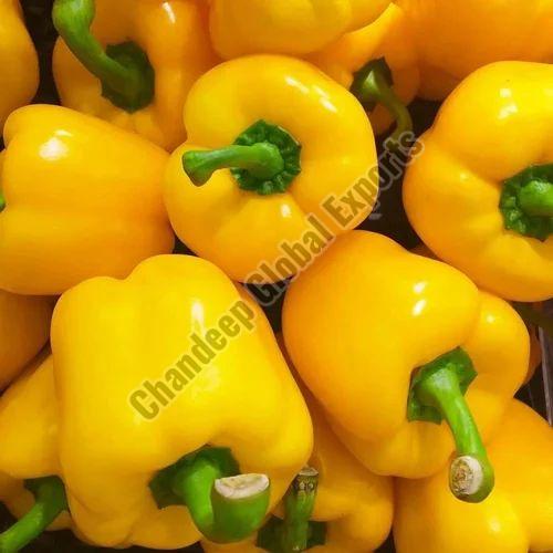 Yellow Capsicum