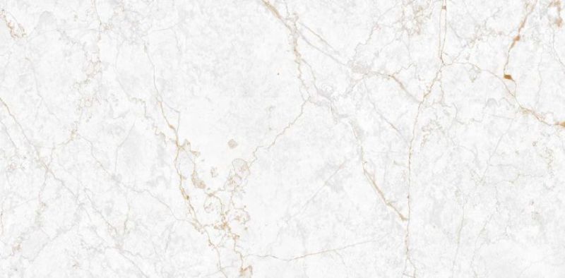 Athena White Glossy Collection Vitrified Tile