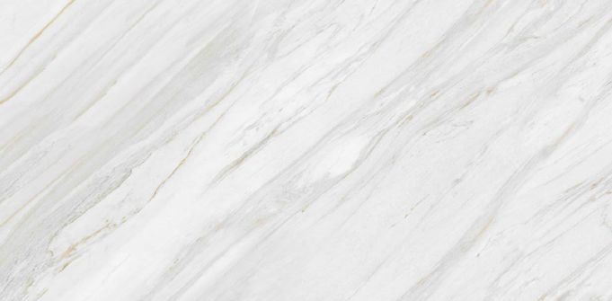 Bianco Venato Statuario Collection Vitrified Tile