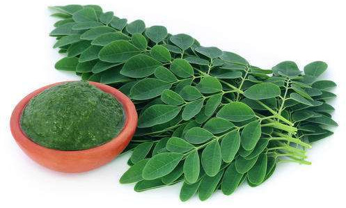 Herbal Drumstick Leaf Powder