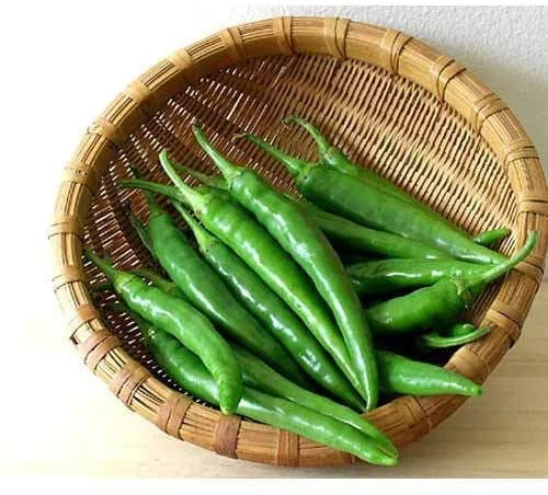 Hybrid Green Chilli