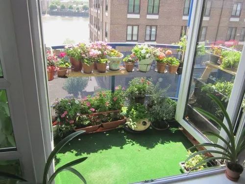 Balcony Gardening Services