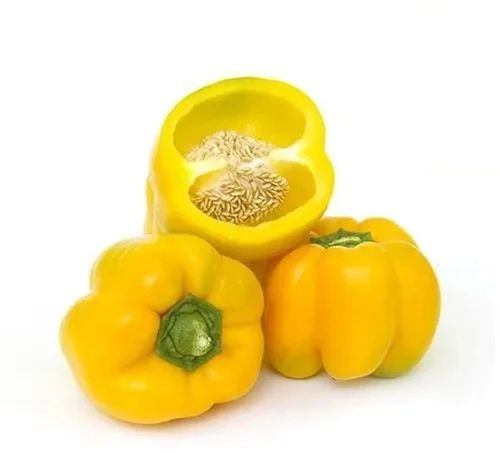 A Grade Fresh Yellow Capsicum